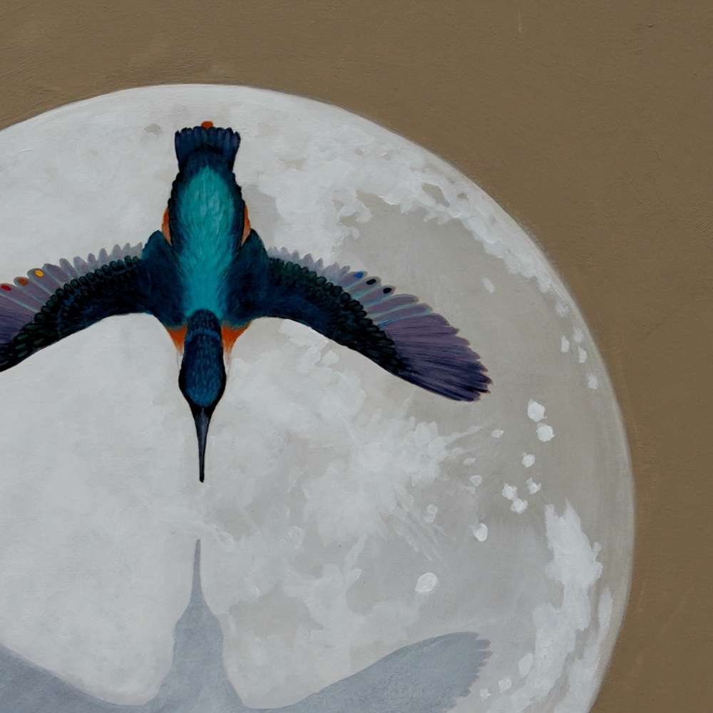 Kingfisher Greeting Card