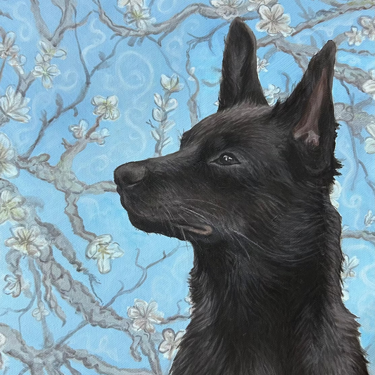 Black dog with almond flowers on a blue background
