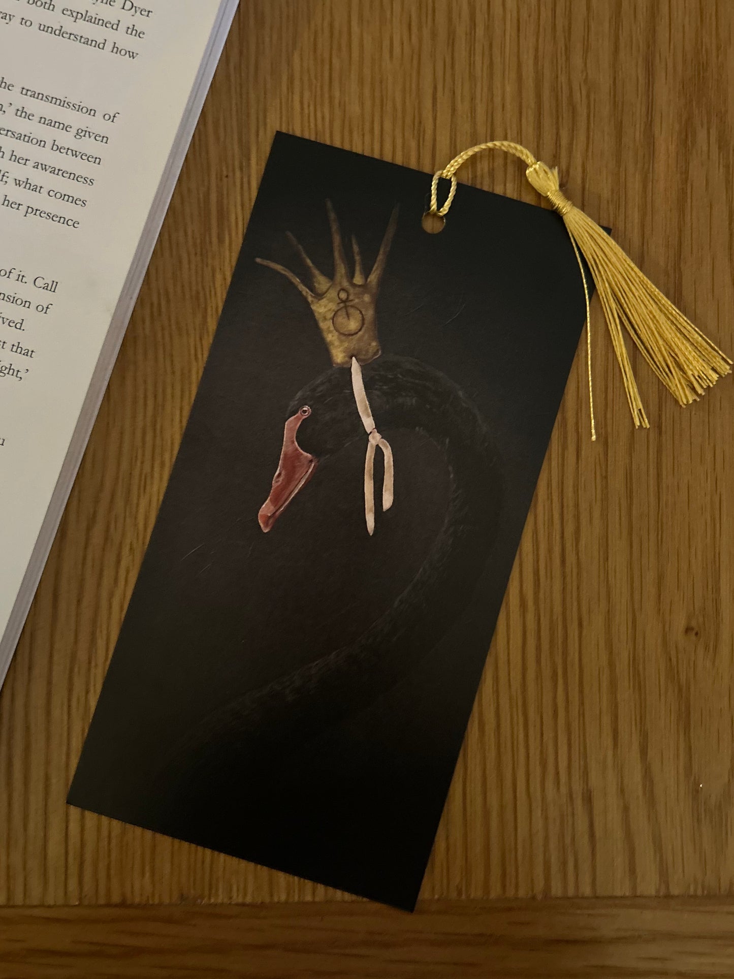 The Imagine Book